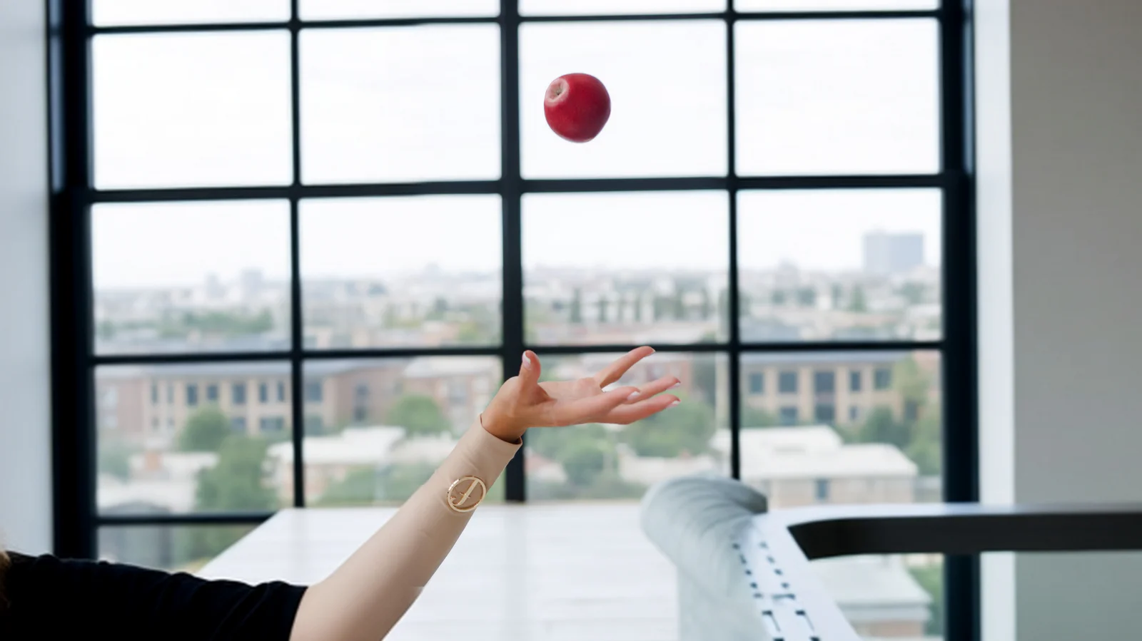 Діагностика ресторану RestaVR - аудит і оптимізація